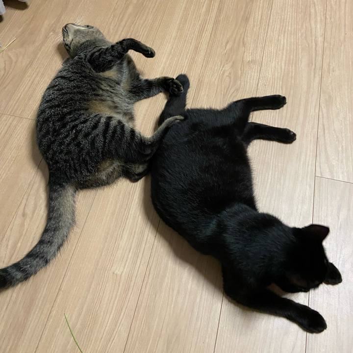 8e8c6375 301b 4478 9999 6c7bf22d4d2e 1628602131262