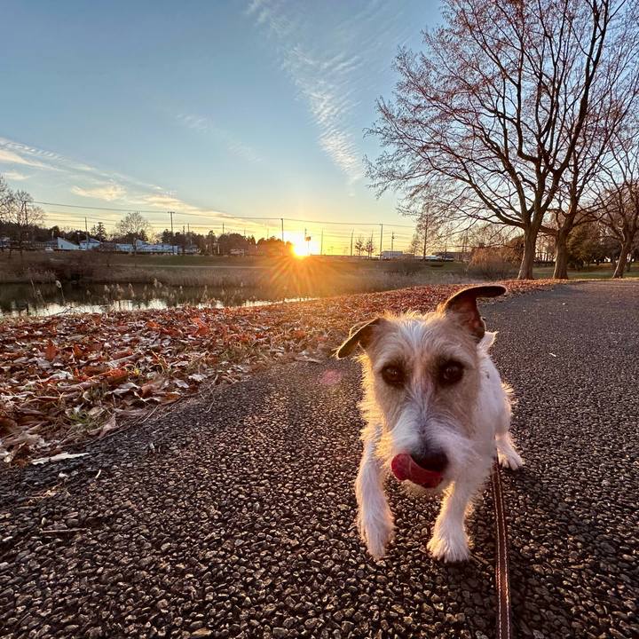 8e8c688a f501 43f6 8a7b b640f70632b0 1736858090133