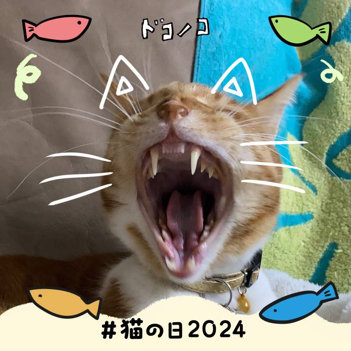 8e8c90cf f2fa 4bb8 9789 dd27751dd3d8 1708528707100