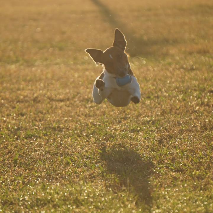 8e8c9c37 5eae 49db aee5 9b03b4e34ac2 1541631037211