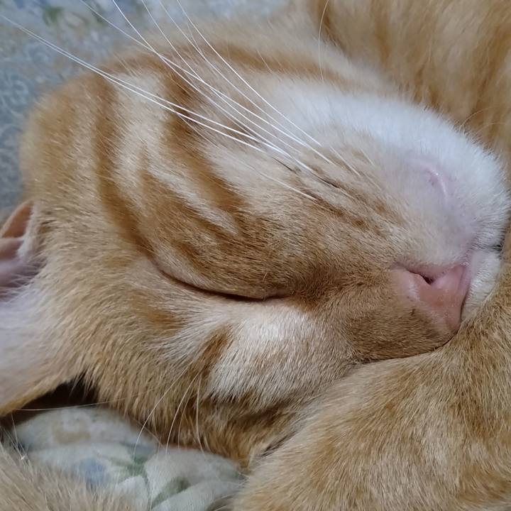 8e8cba9e d5c3 4e50 af42 f1cac5dd3637 1666356318268