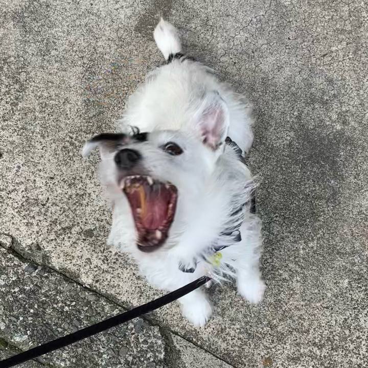 8e8cf1a7 54ad 4209 b949 6bf5feb2e4a6 1663803602447