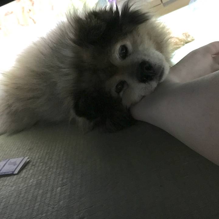 8e8d600b 070c 4208 a3f9 cf45b326bde6 1552693684200