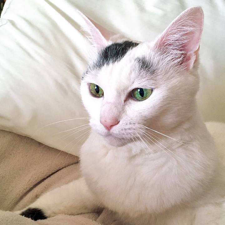 8e8d6d04 d42a 4763 8c88 4a6d9d471457 1598330350779