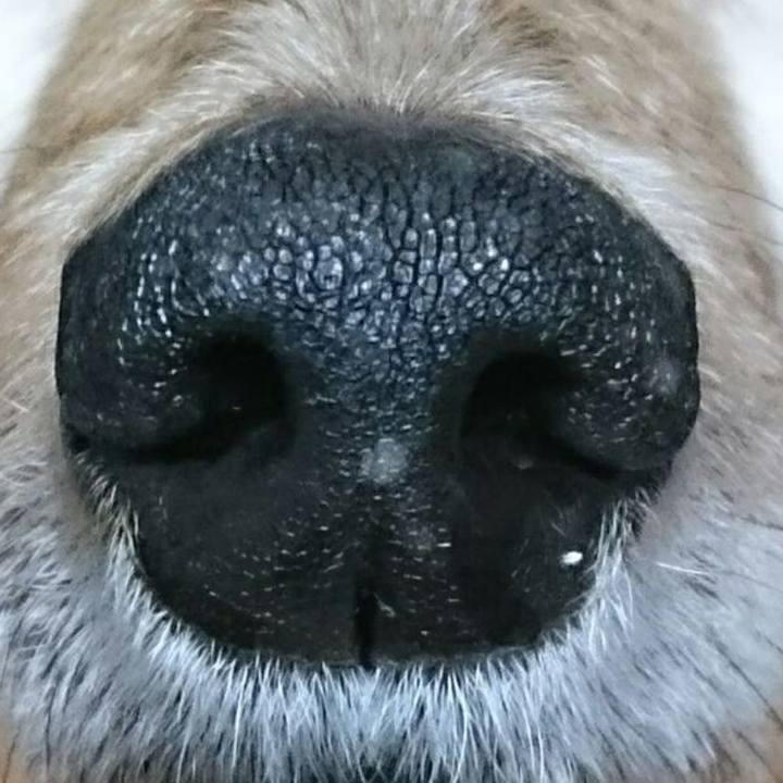 8e8db588 c19a 4ddb 849e ee4be545273e 1523527107438