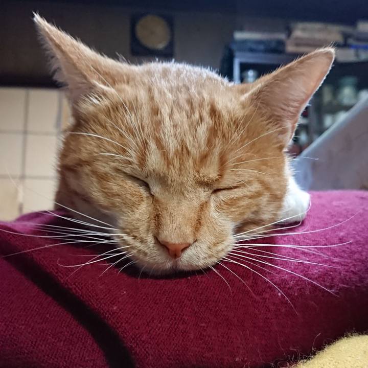 8e8e348a 3aff 4ad3 bfaf 5c2c5d1d613b 1571309492001