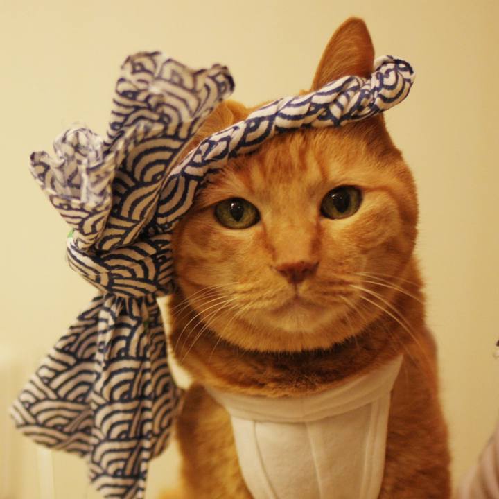 8e8e3f33 542c 40b6 b5eb 42567cbf0c3d 1720228657827