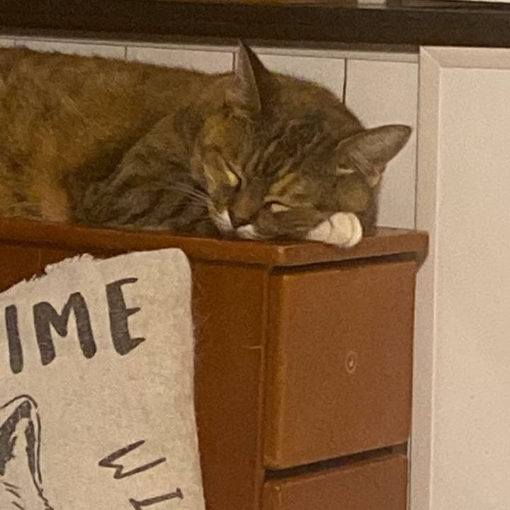 8e8e7b1b 1836 43fc a02b 51c1375a74d0 1692034178938