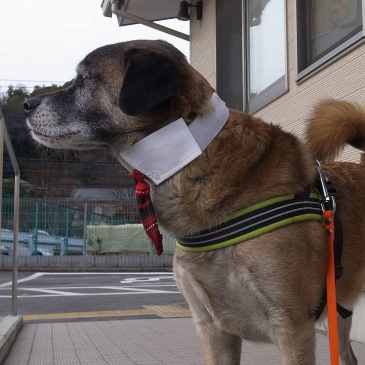 8e8e8419 13d9 467d 80bc 7ece6f35c2d9 1584318237063