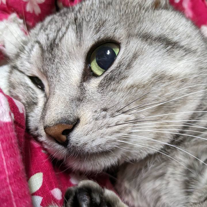 8e8ea9b0 d220 4116 9a3f 3c4d7ebdd78a 1702137023892