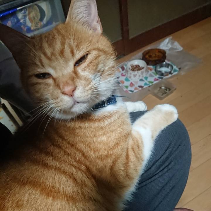 8e8f6b0b d919 416e a325 a6a0f74c5abc 1605865953481