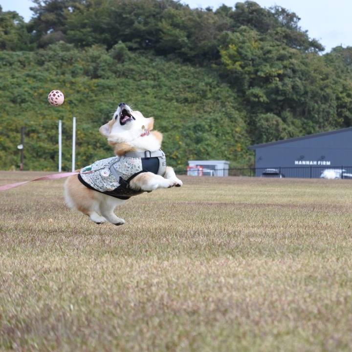 8e8f781b 59b5 4c2a 86d1 85eb93b03e96 1762168487060