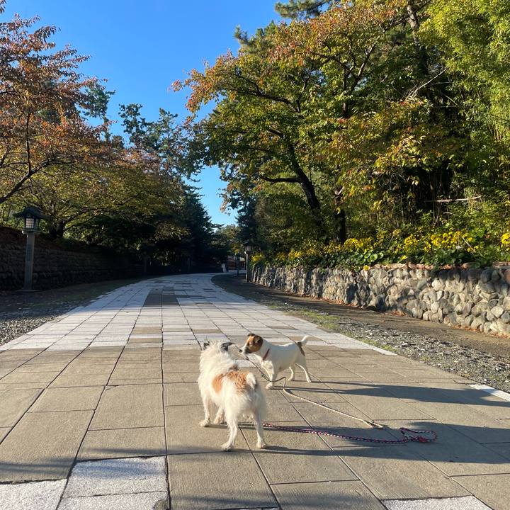 8e8f96d3 f678 46fd b687 750752148b15 1731198220936