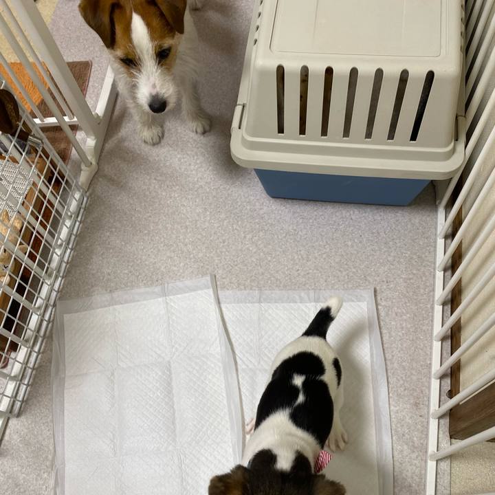 8e8fa0a9 37d2 4591 b64b ba72b00f3c08 1743023208988