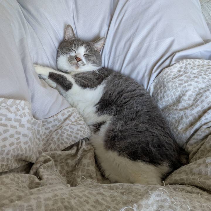 8e8ff0bb 9273 4080 9fb6 8c0d0f28c32a 1742700631677