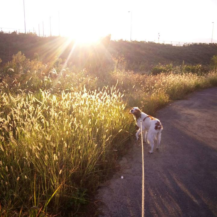 8e90022b d663 4900 87e4 470f180e5631 1510489914887