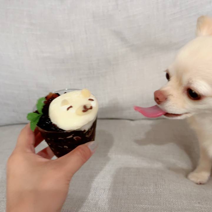 8e900b07 bd6d 4cb1 be38 b699cf129e5a 1690369626916