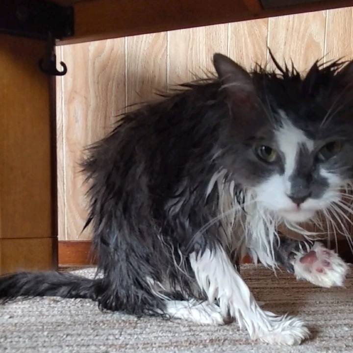 8e900c0a 1a39 4b0e bfd6 1c1def711aee 1626576124941