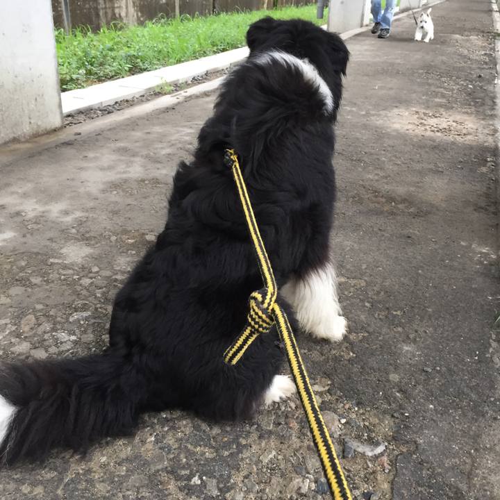 8e901fc1 35d7 4dd4 a443 97ed8ca3d855 1562027632434