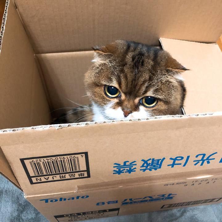 8e903c81 dd43 4638 8980 576f96b8357c 1546518009676