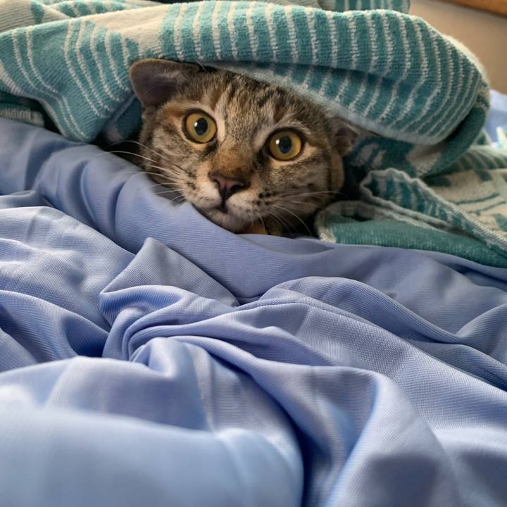 8e9055ea a454 421d adc2 109ed9d56fd5 1600655147577