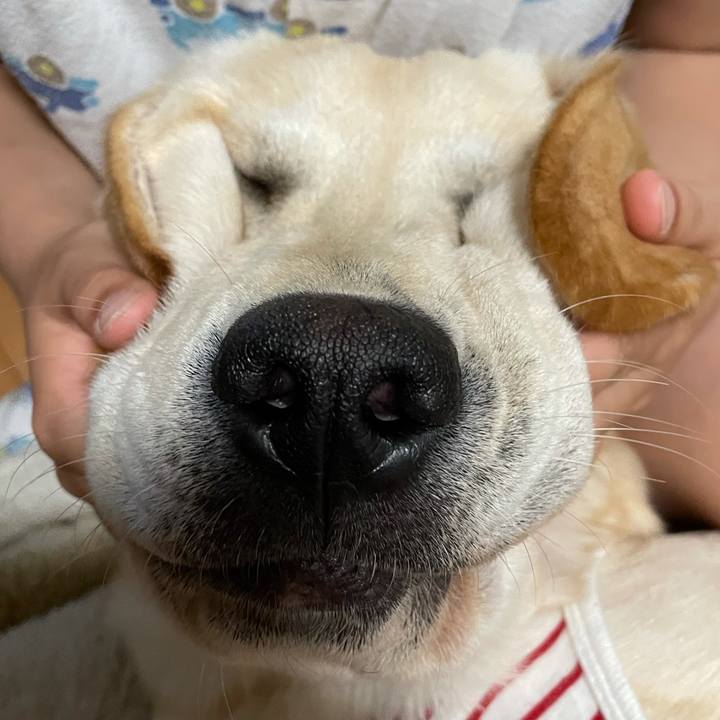 8e907ad9 cafc 40a0 809a d932f015a84e 1622377769729