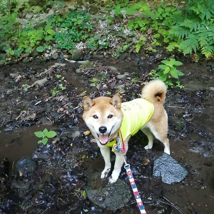 8e909785 c238 4782 87b5 c16941cf5b60 1687832770493