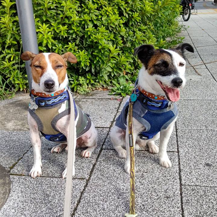 8e90bfb8 336c 4489 bcb9 a3e305bd176a 1627424612019