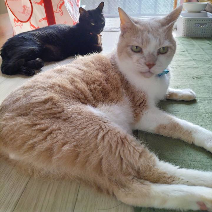 8e90ccc1 34f7 4100 a09e c63920d9d3a0 1664750980305