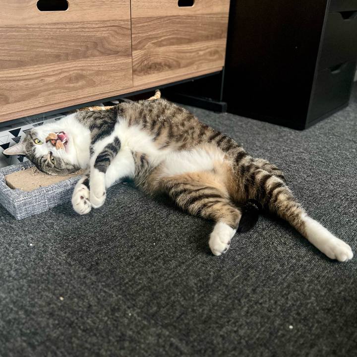 8e90ed1b b28b 4c63 aba8 4ce2ba896c61 1760623712027