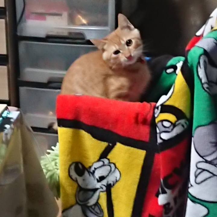 8e90eda2 5c05 4b33 98f2 22ec27abef3d 1632877862868