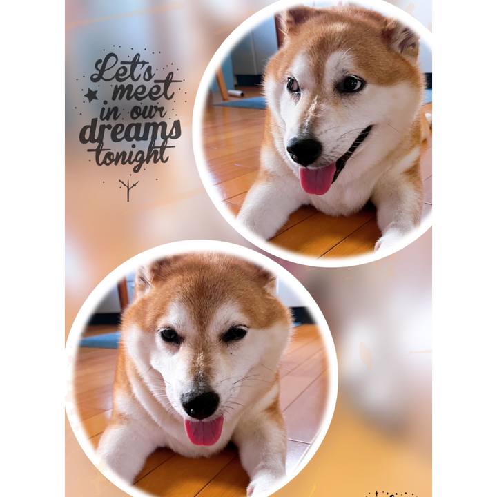 8e912645 6a57 47d3 8dc7 000aafe07ebc 1694653401640