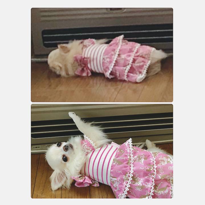 8e915be7 5bb6 4748 ada3 0604e1fb1970 1557366388240