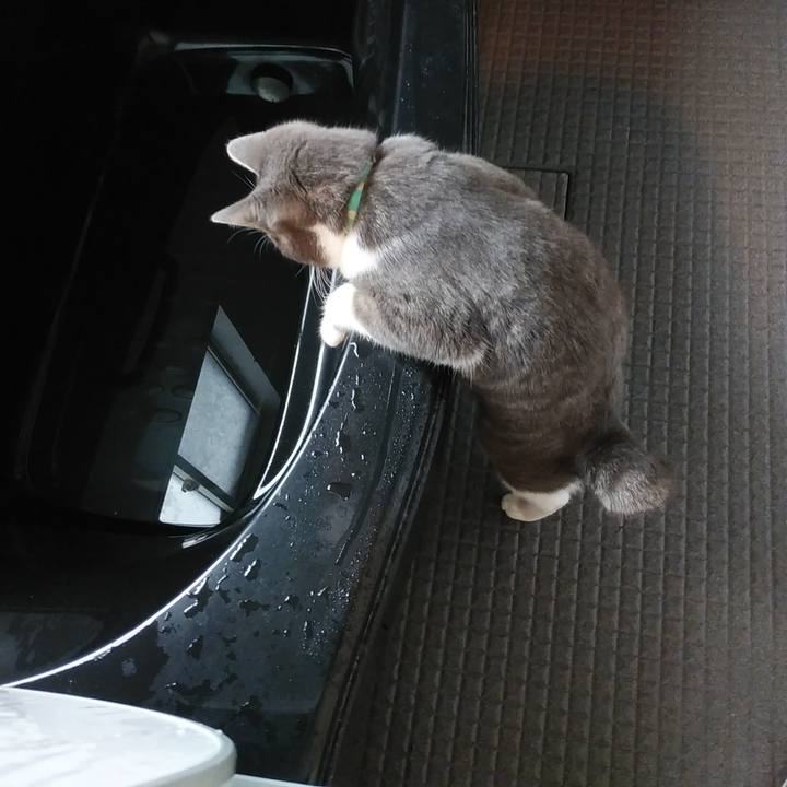 8e916bcf 7646 42ba 955f 6468741f6714 1578441909560