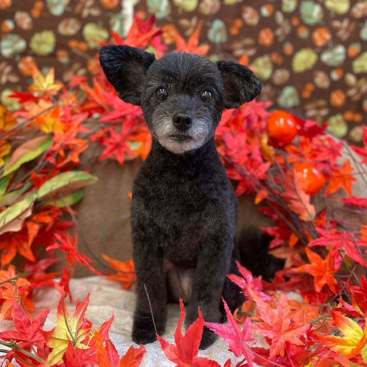 8e9179bd 1ca7 4ee2 9f36 2ac8a8f6f7fb 1634458104309