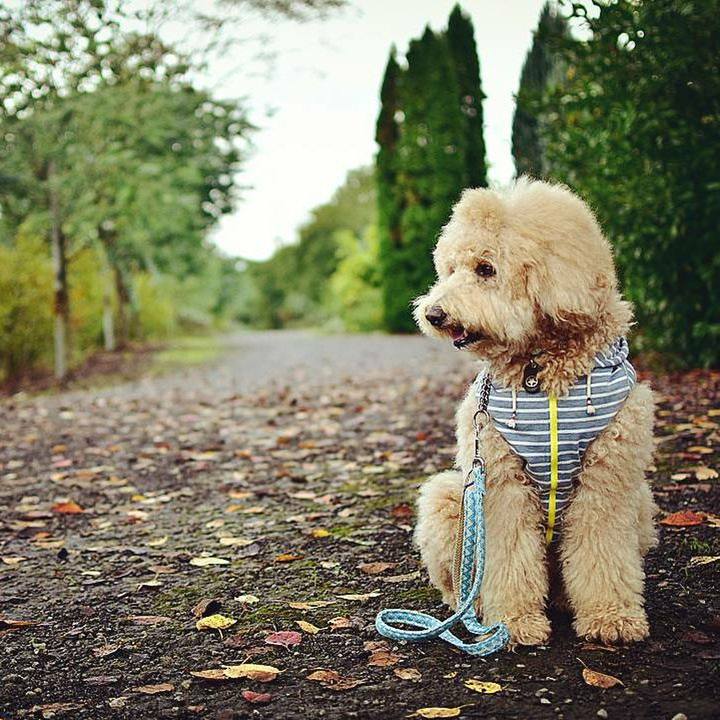 8e91c2e1 9c34 4ba5 82a5 79ec01279b5d 1510479809571