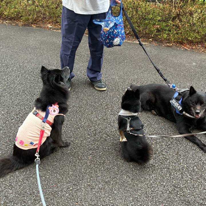 8e920b47 67fe 4a86 8ec2 144a0db6870e 1757375398423