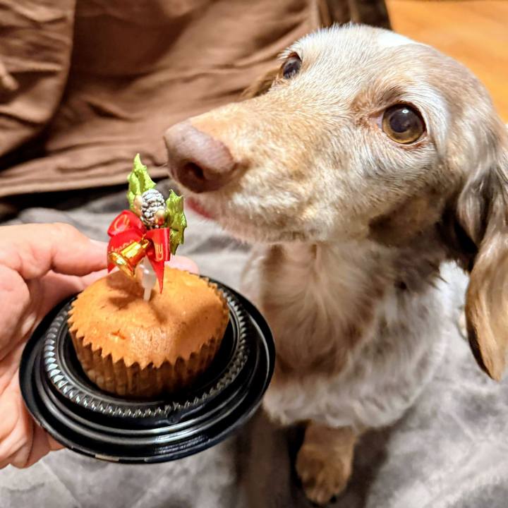 8e922aee 7a7e 4810 b1c7 ea49c5db0100 1766573572061