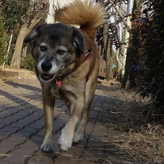 8e928289 433d 433e 9c49 b082edf6439f 1518227426972