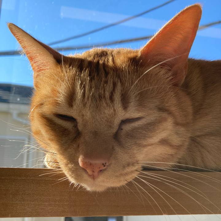 8e929350 ef47 440b a6f8 636029691a16 1637368514954