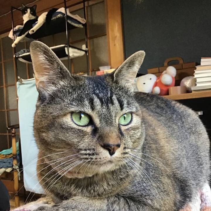 8e92c2c0 ee70 4c3f b1ef 4ef5b655aa30 1718782221892