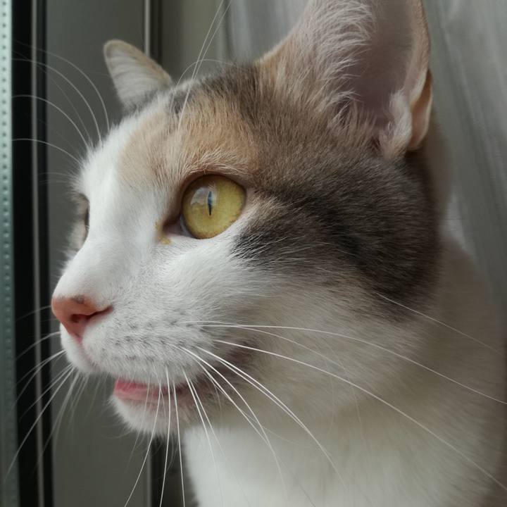 8e92ce14 03e0 4862 b432 dcd2fc282597 1521528935864