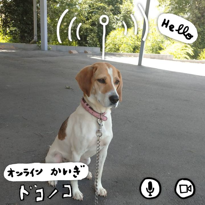 8e92f66b 175b 4105 9f8f 2cdc6956d9a4 1593657733183