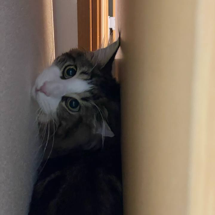 8e930073 d80e 47cc 94ab b3dfa1751b07 1642684284385