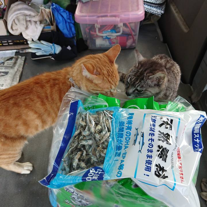 8e932b4e 3b2a 41de ae8c 64d488b702c4 1593682093128