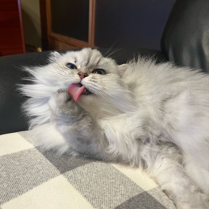 8e934757 f2e1 43ef b837 e44fc83364c2 1639655911607