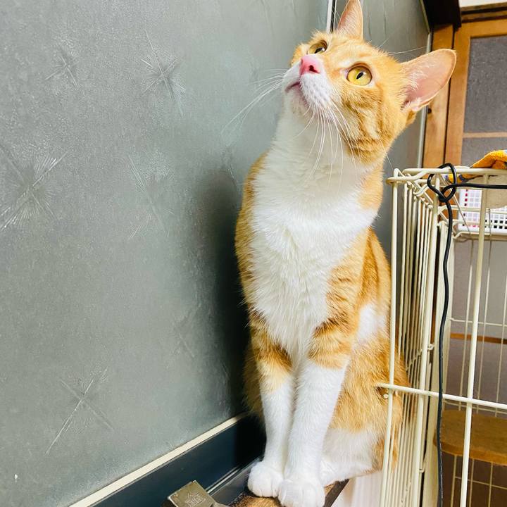 8e9385b3 7478 4eb9 9069 d5d2a6f17991 1659796482591