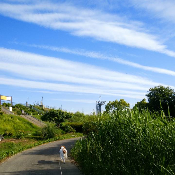 8e9386d7 5ff7 4c1b 95f6 0fe4b10ea35d 1558483774278