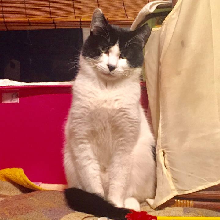 8e938f5f 0603 4de9 8c98 2fb3ea95f779 1577933180685