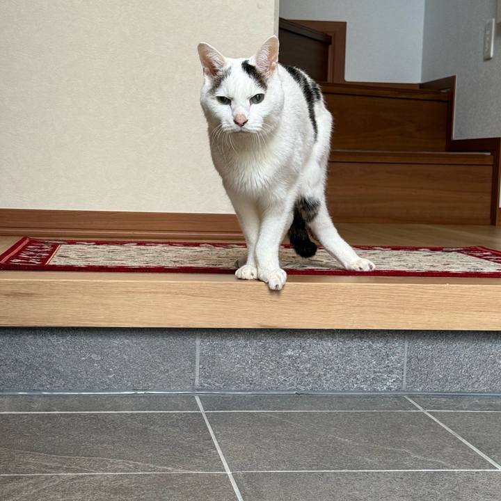 8e93a043 5354 471f afaf d128351e708c 1764379339240